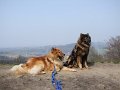basko (14)